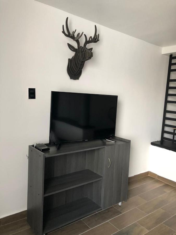 Vn Hotel Monterrey Zewnętrze zdjęcie