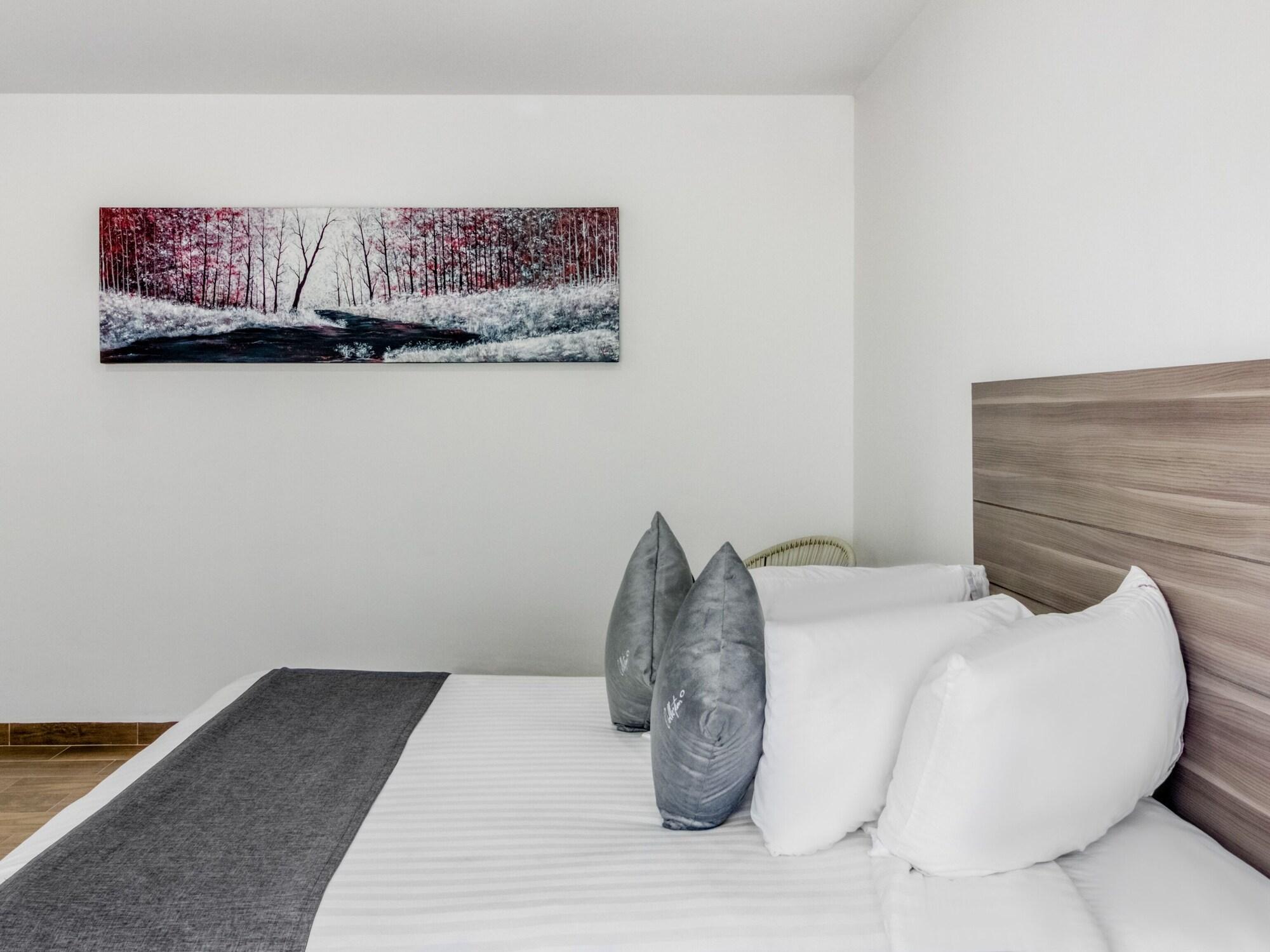Vn Hotel Monterrey Zewnętrze zdjęcie