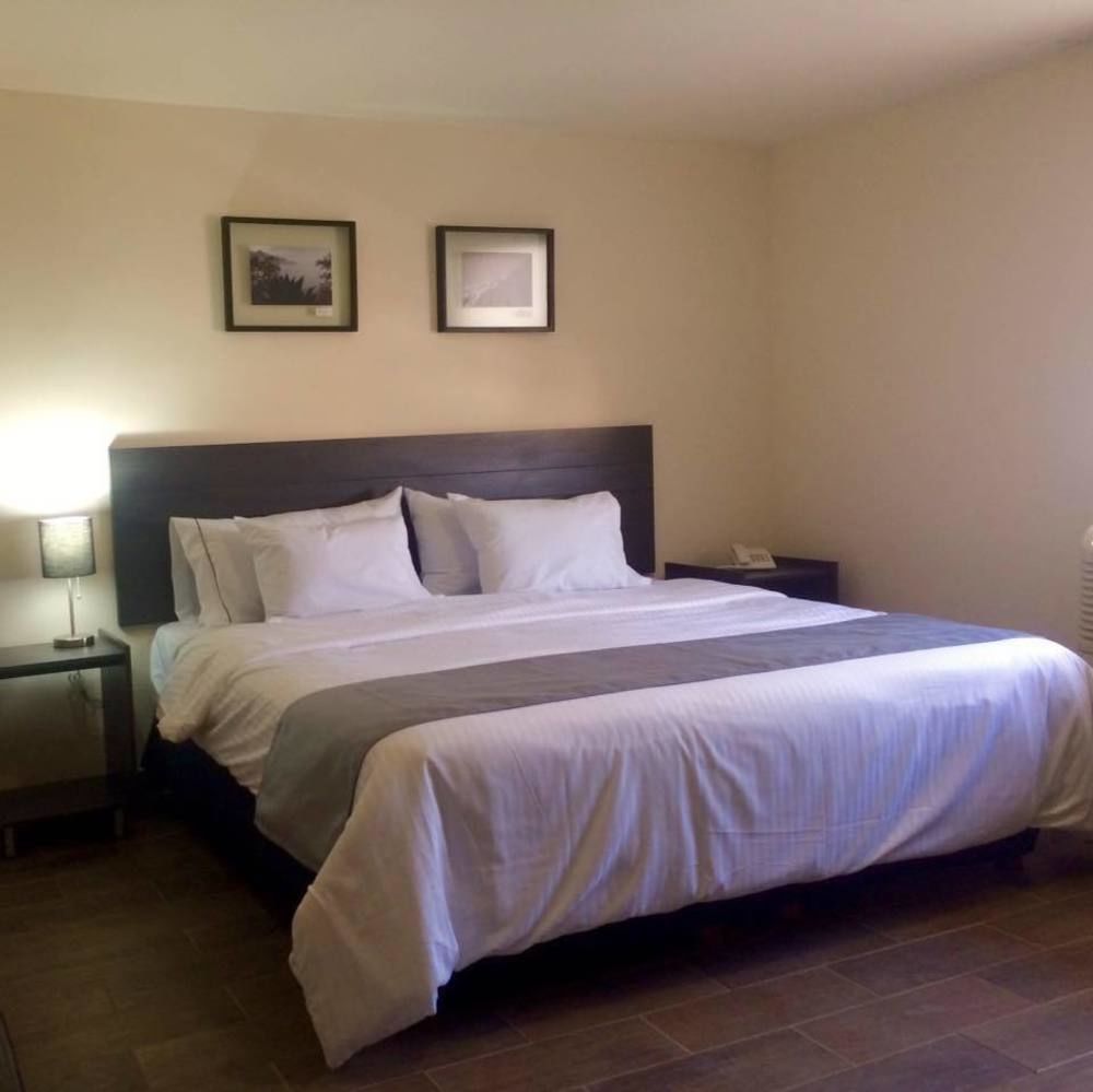 Vn Hotel Monterrey Zewnętrze zdjęcie